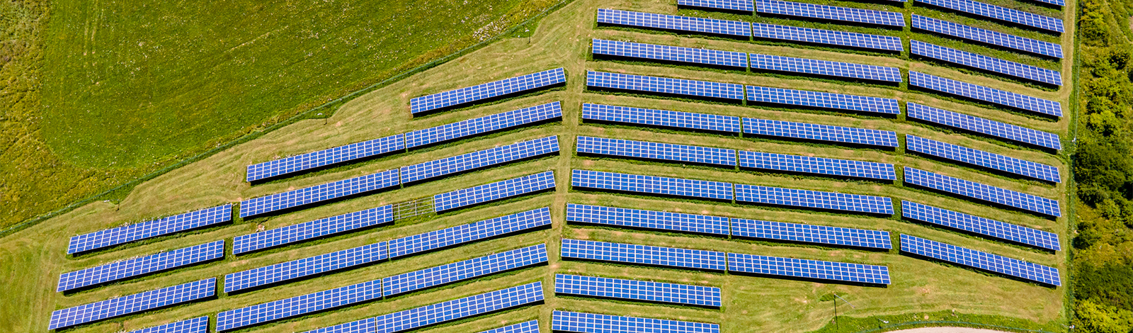 Transformacja energetyczna w Polsce – co przyniesie 2025 rok?
