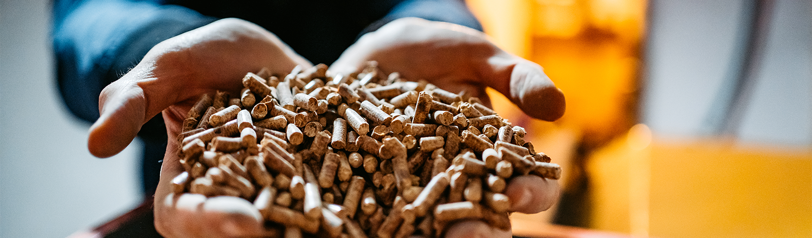 Biomasa – odnawialne źródło energii i surowiec z potencjałem oszczędności