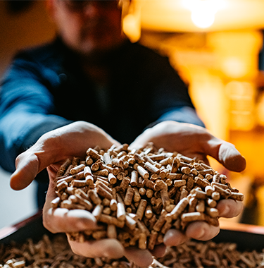 Biomasa – odnawialne źródło energii i surowiec z potencjałem oszczędności